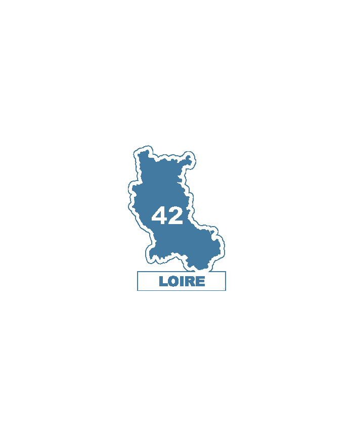 Une carte du département 42 où se situe la commune de Andrezieux Boutheon (42160).